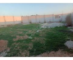 معروض للبيع أرض مسورة في حماة