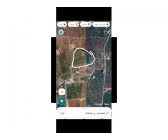 أرض للبيع في اللاذقية - صورة 2/2