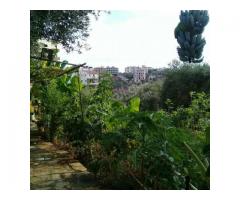 أرض للبيع في طرطوس - صورة 2/2