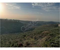شقة للبيع في صافيتا - صورة 6/10
