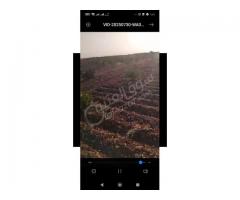 أرض للبيع في حمص - صورة 1/8