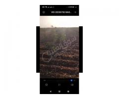 أرض للبيع في حمص - صورة 5/8