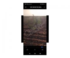 أرض للبيع في حمص - صورة 7/8