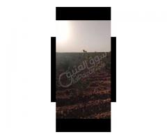 أرض للبيع في حمص - صورة 8/8