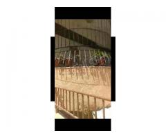 شقة للبيع في صحنايا - صورة 1/5