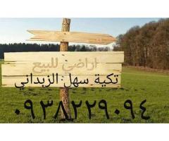 أراضي برسم البيع في سهل الزبداني - صورة 1/2