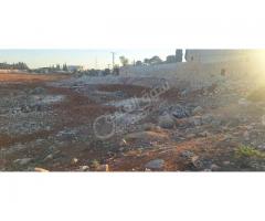 أرض للبيع على أستراد حلب الجديدة - صورة 3/3