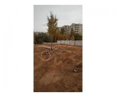 أرض بجديدة الشيباني للبيع - صورة 2/3