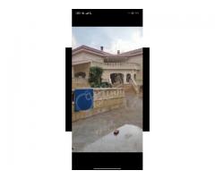 مزرعة للبيع في حلب جمعية القصور - صورة 1/3