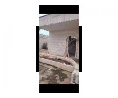 مزرعة للبيع في حلب - صورة 3/6