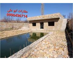 مزرعة للبيع في سهل الزبداني - صورة 2/2