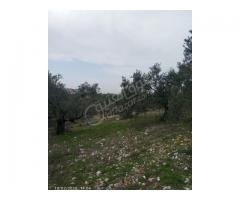 أرض للبيع في طرطوس - صورة 2/4