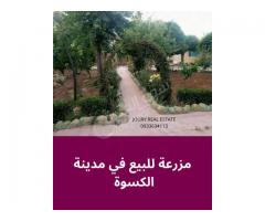 مزرعة للبيع في الكسوة
