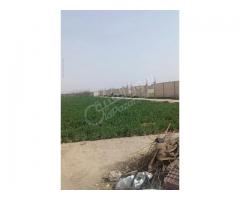 أرض للبيع في غوطة دمشق