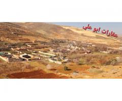 أرض للبيع في سهل الزبداني