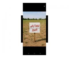 أرض للبيع في المليحة