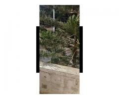 شقة للبيع في طرطوس - صورة 8/9