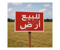 أرضين للبيع في ريف دمشق القلمون