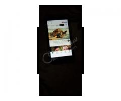 موبايل Samsung A2eco للبيع
