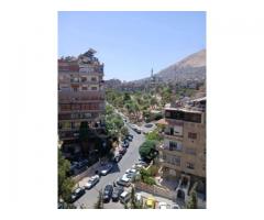 شقة للبيع في شارع برنية - صورة 9/9