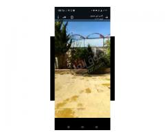 مزرعة للبيع في حلب - صورة 6/6
