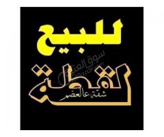 شقة للبيع في الهامة