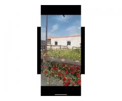 مزرعة للبيع في حلب - صورة 5/5