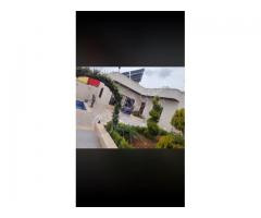 مزرعة للبيع في حلب خان العسل - صورة 5/5