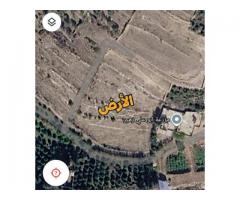 أرض للبيع في طرطوس