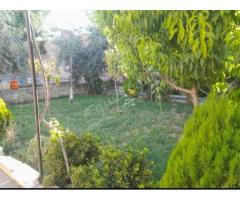 مزرعة للبيع في كفر بطنا - صورة 4/4
