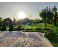 مزرعة للأجار في طريق المطار