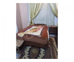 تخت مفرد ونص للبيع