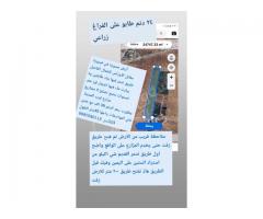 حمص فيروزة