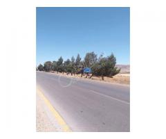 ارض مفرزة للبيع درعا طريق دمشق - صورة 9/9