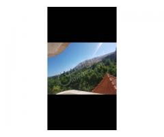 مزرعة العندليب للايجار أول سهل مضايا - صورة 8/10