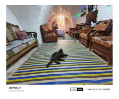 دار عربي للبيع في حلب