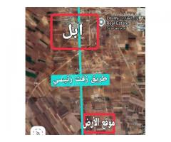 أرض للبيع في حمص