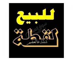 شقة للبيع في دمشق الهامة