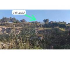 أرض للبيع في طرطوس - صورة 1/7