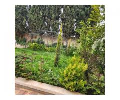 مزرعة للأيجار في حلب - صورة 4/9