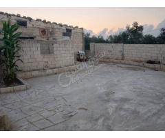 مزرعة للبيع في طرطوس - صورة 5/8
