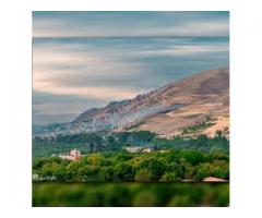 مزرعة العندليب للأيجار أول سهل مضايا - صورة 5/10