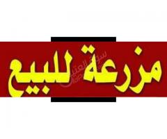 مزرعة للبيع في حمص