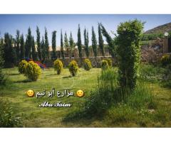 مزرعة للأيجار في سهل الزبداني