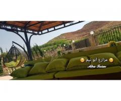 مزرعة للأيجار في سهل الزبداني - صورة 5/7